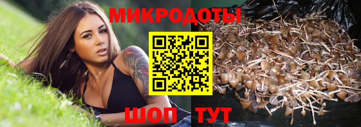 ГЕРОИН Малоярославец